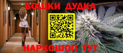 хмурый Кингисепп