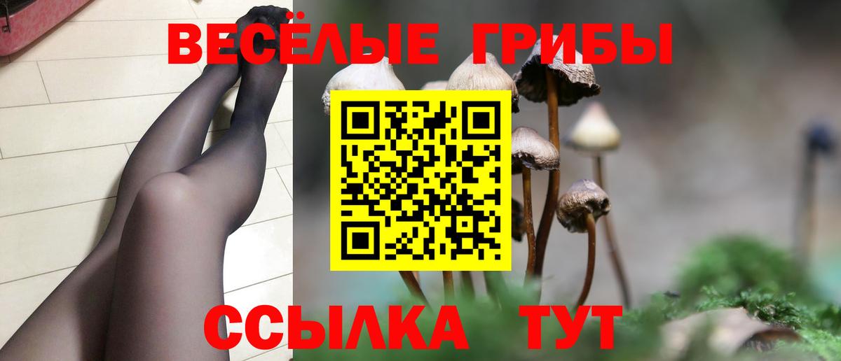 Галлюциногенные грибы мухоморы Лиски